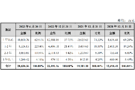 泸州要账公司